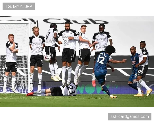 埃弗顿对富勒姆比赛因球迷冲入场内中断十分钟